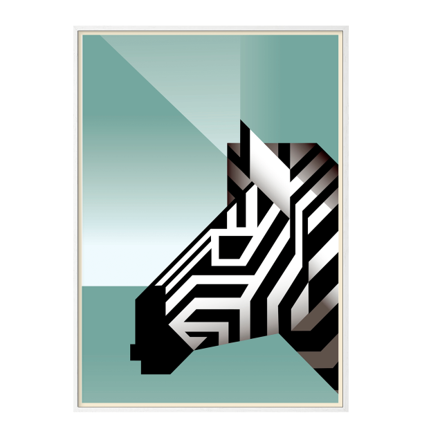 Zebra. Martin Schwartz