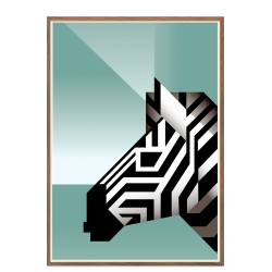 Zebra. Martin Schwartz