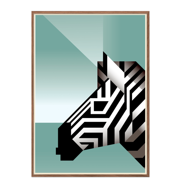 Zebra. Martin Schwartz