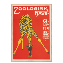 Z 10. - Zoo - Giraffe -3