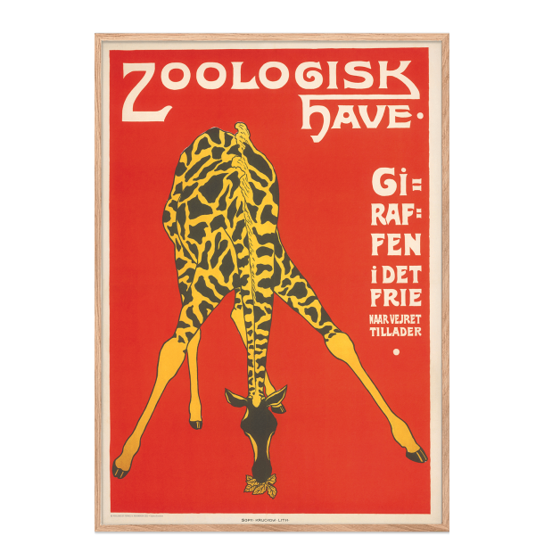 Z 10. - Zoo - Giraf -3