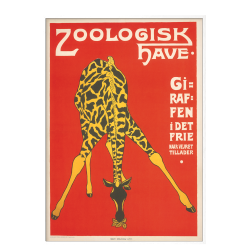 Z 10. - Zoo - Giraffe -3