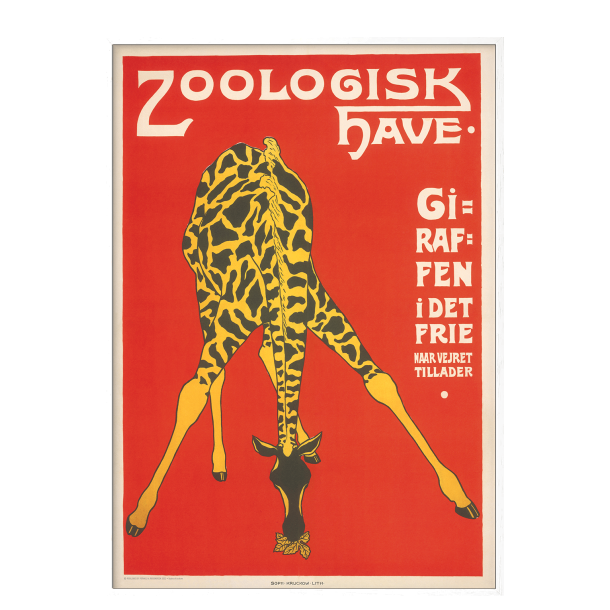 Z 10. - Zoo - Giraf -3