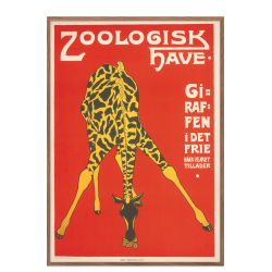 Z 10. - Zoo - Giraffe -3