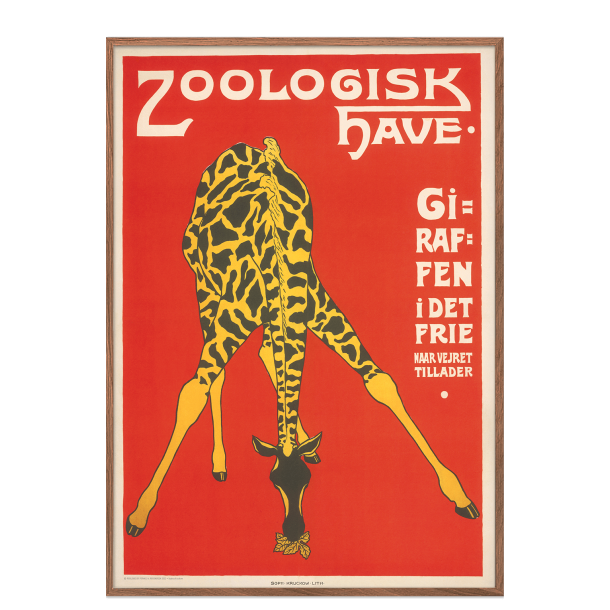 Z 10. - Zoo - Giraf -3