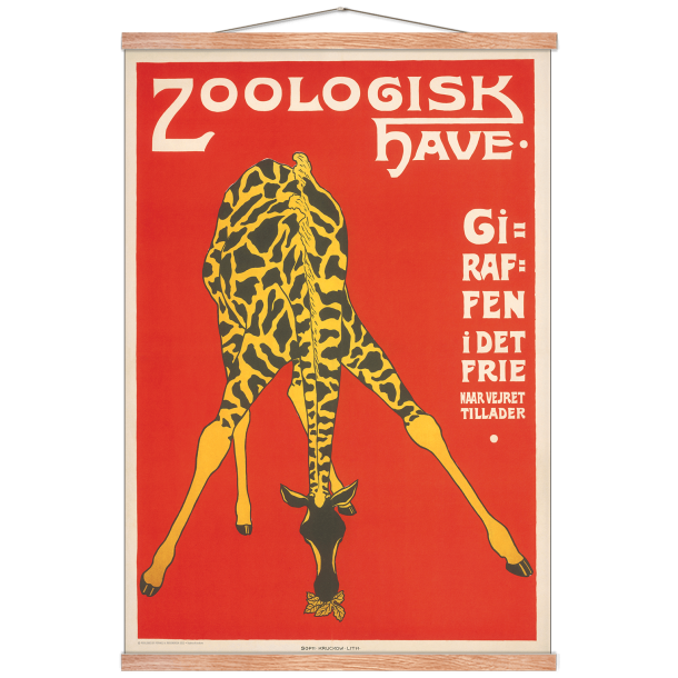 Z 10. - Zoo - Giraf -3