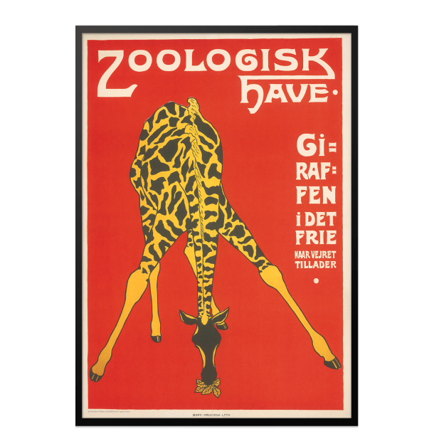 Z 10. - Zoo - Giraf -3