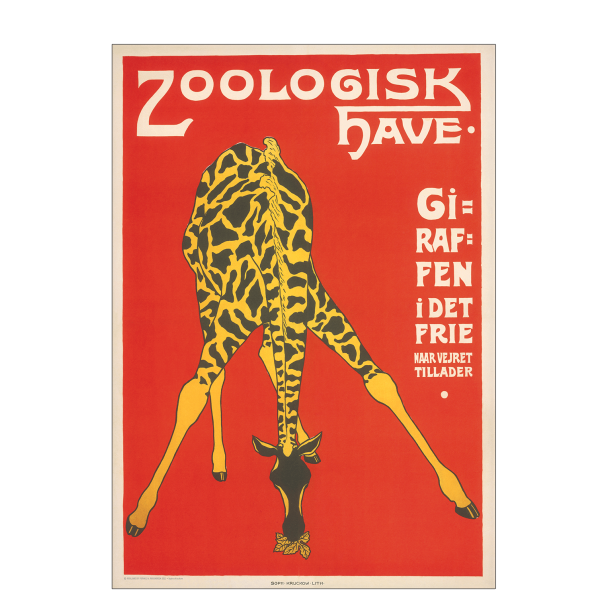 Z 10. - Zoo - Giraffe -3