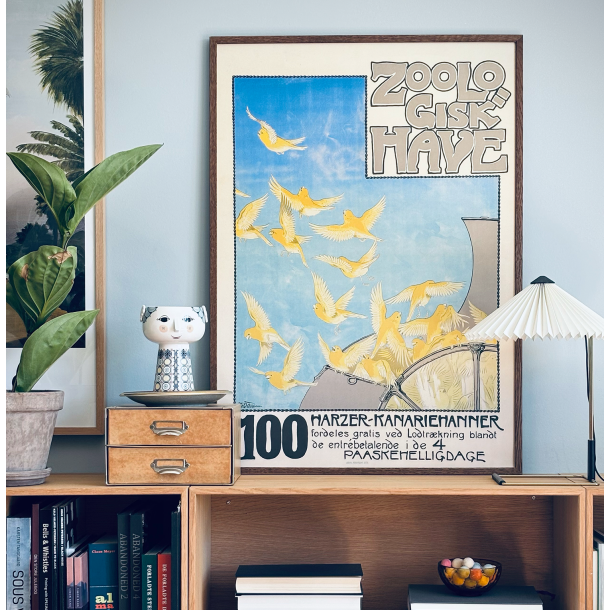 Z 29. - Zoo, Kanariefugle 