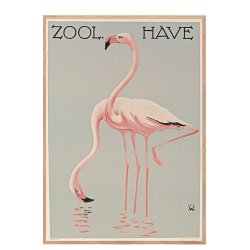 Z 2. - Zoo - A - Wennerwald, Flamingoer
