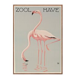 Z 2. - Zoo - A - Wennerwald, Flamingoer