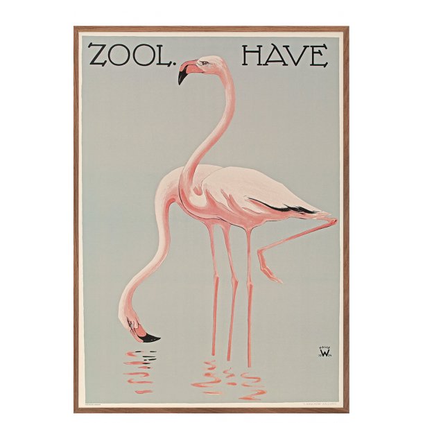 Z 2. - Zoo - A - Wennerwald, Flamingoer