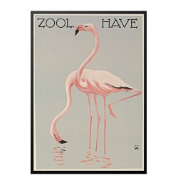 Z 2. - Zoo - A - Wennerwald, Flamingoer