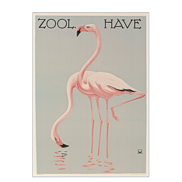 Z 2. - Zoo - A - Wennerwald, Flamingoer