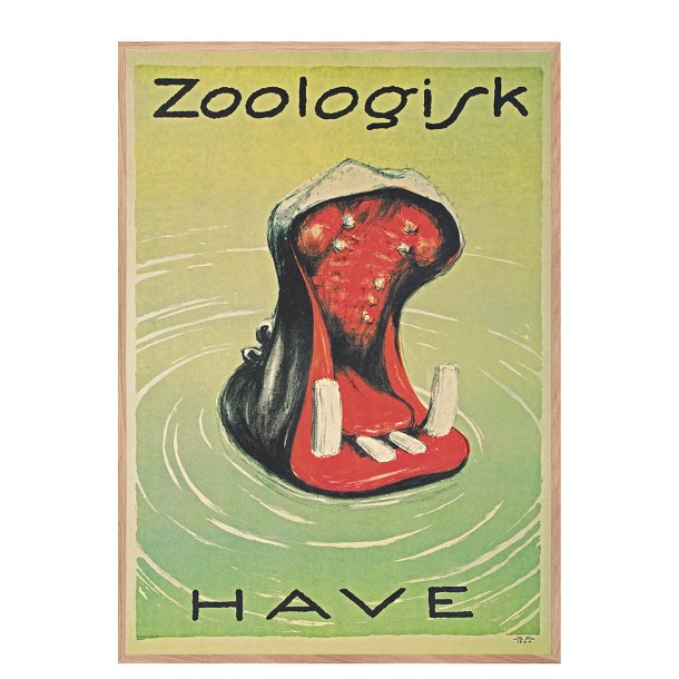 Z 3.- Zoo - Brasch, Flodhest - 1