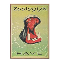 Z 3.- Zoo - Brasch, Hippopotamus - 1