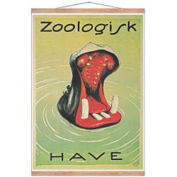 Z 3.- Zoo - Brasch, Hippopotamus - 1