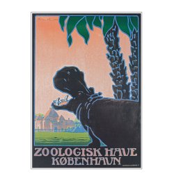 Z 15. - Zoo - Henriksen, Flodhest - 2