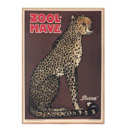 Z 14. - Zoo - Geparden - pusse