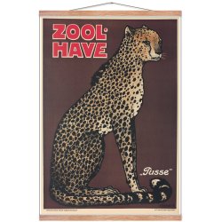 Z 14. - Zoo - Geparden - pusse