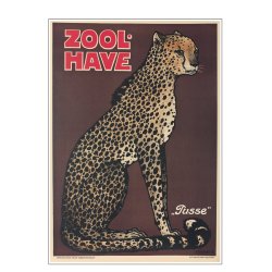 Z 14. - Zoo - Geparden - pusse