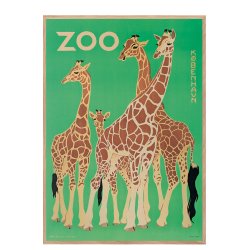 Z 9. - Zoo, Giraffer -2