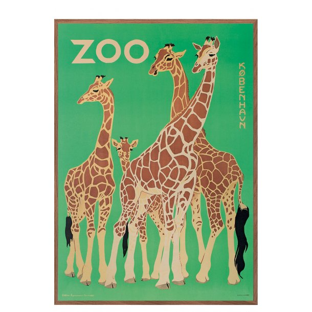 Z 9. - Zoo, Giraffer -2
