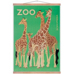 Z 9. - Zoo, Giraffer -2