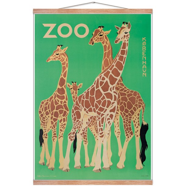 Z 9. - Zoo, Giraffer -2