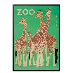 Z 9. - Zoo, Giraffer -2
