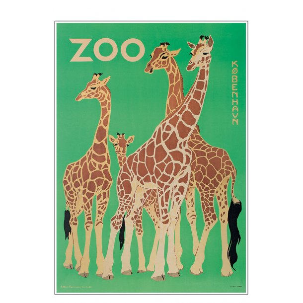 Z 9. - Zoo, Giraffes -2