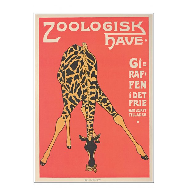 Z 10. - Zoo - Giraf -3