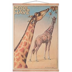 Z 8. - Zoo - Jrgensen, Giraf-1