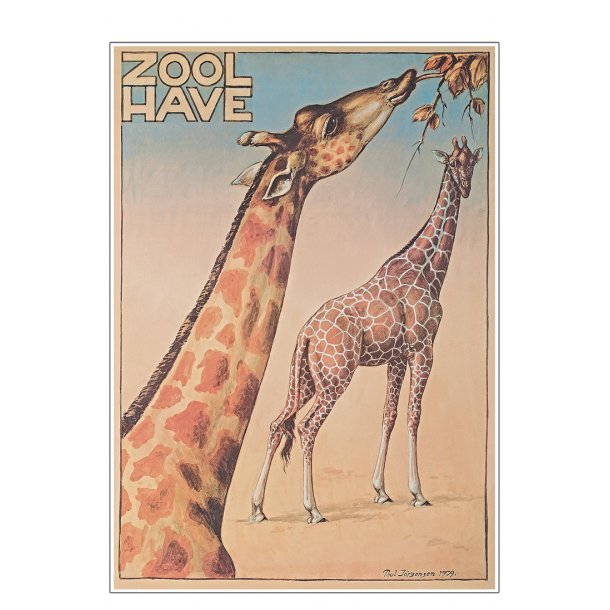 Z 8. - Zoo - Jrgensen, Giraffe -1