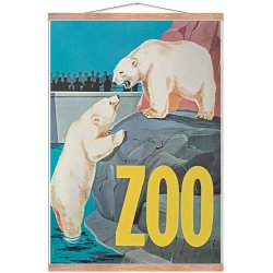 Z 11. - Zoo - Isbjrne