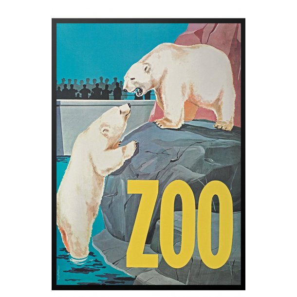 Z 11. - Zoo - Isbjrne