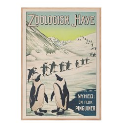 Z 12. - Zoo - Pingvin