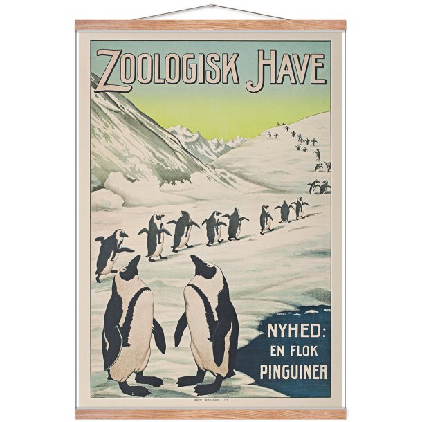 Z 12. - Zoo - Pingvin