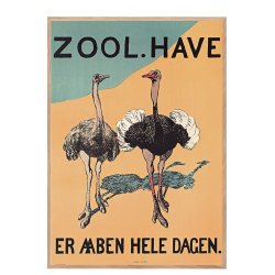 Z 16. - Zoo - Straue