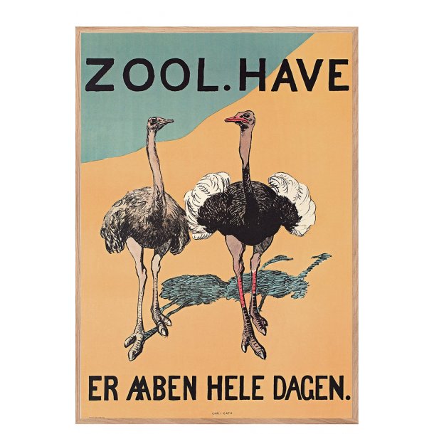 Z 16. - Zoo - Struds