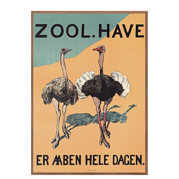 Z 16. - Zoo - Struds