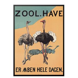 Z 16. - Zoo - Straue