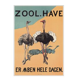 Z 16. - Zoo - Straue