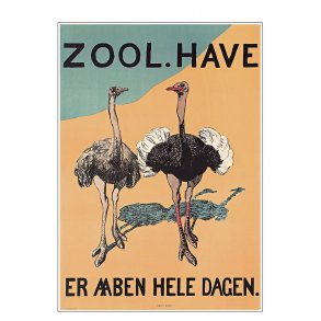 Z 16. - Zoo - Struds