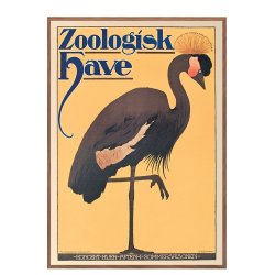 Z 17. - Zoo - Anonym, Trane