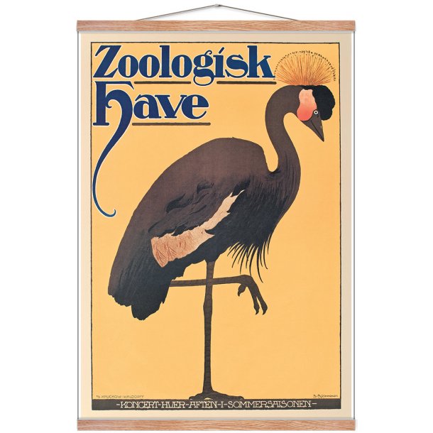 Z 17. - Zoo - Anonym, Trane