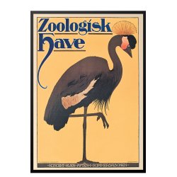 Z 17. - Zoo - Anonym, Trane