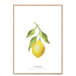 Lemon watercolor