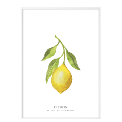 Lemon watercolor