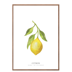 Lemon watercolor
